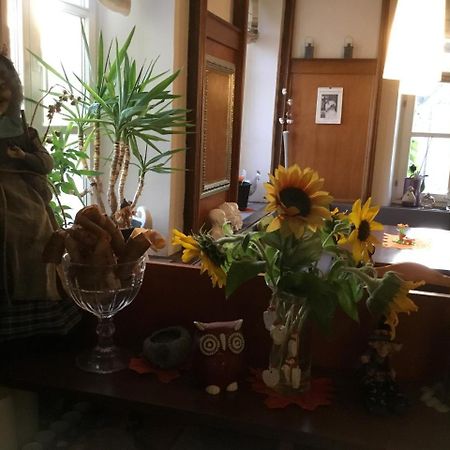 Oberthal Hotel Zur Eiche מראה חיצוני תמונה